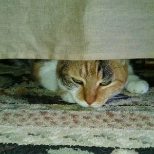 Meet your Posher, Caroline